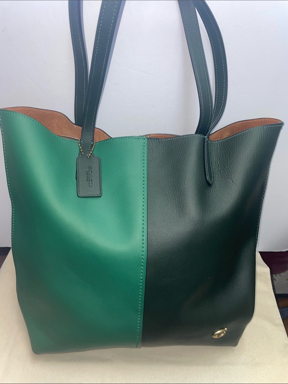 Coach ‘North’ Colorblock Tote